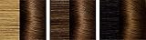 L'Oréal Paris Excellence 4.3 Golden Brown Hair Colour 3 x 268 g view 5