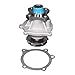 ACDelco 252-822 Professional Water Pump Kit primary