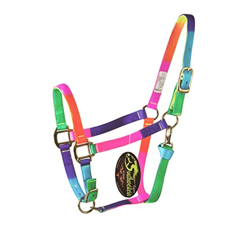 Southwestern Equine Rainbow Halter and Lead Horse Size Adjustable Nose Clip Jaw Side (Horse, Rainbow Halter w/Side Clip)