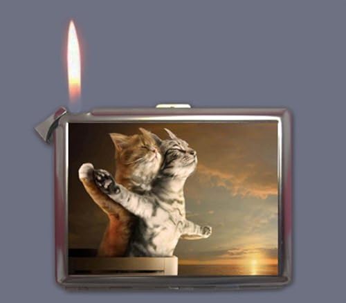 titanic cigarette holder Funny Titanic Cat Cigarette Case Lighter Wallet Business Card Holder in  Saudi Arabia