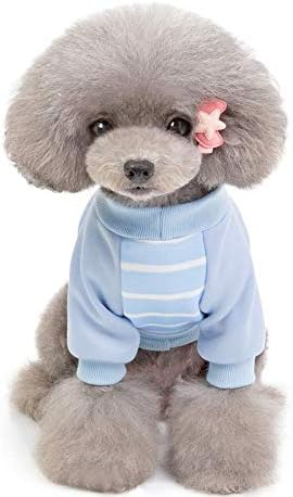 B0825QC1L4 可愛い お出かけ 人気 Tシャツ ペット用品 ドッグ ...