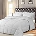 MoMA Light Gray Quilted Queen Comforter - Duvet Insert Comforter Set - Elegant Bedding for Comfort - Queen-Size Bed Comforter - Hotel Down Alternative Comforter - Quilted Design Comforter - 86