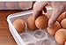 Zondam Eggs Dispenser Covered Egg Holder for 2 Dozen 24 Eggs