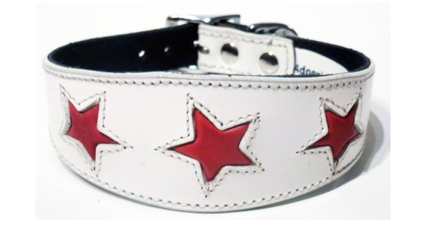 lurcher collars amazon