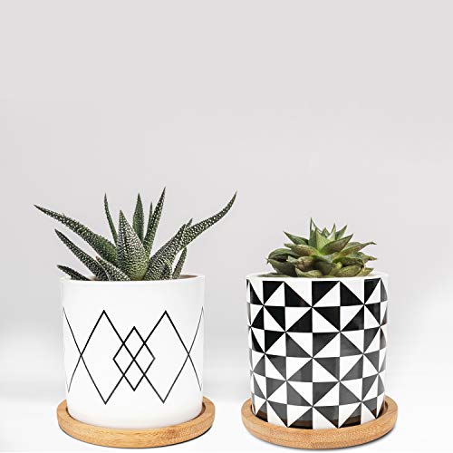 Succulent Plant Pots Small Plant Pot With Drainage Holes And Saucers 2 8 Inch Indoor Outdoor Ceramic Mini Pots For Succulent Plants Black And White Pots Cactus Bamboo Tray Idea 4 Pcs Pricepulse