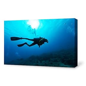 Canvas Wall Art for Living Room,Bedroom Home Artwork Paintings Deep Sea Diving Ready to Hang - 12x18 inches