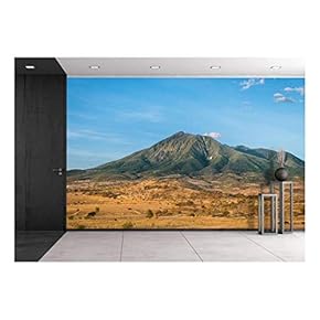 Landscape with Mountain in African Savannah - Removable Wall Mural | Self-Adhesive Large Wallpaper - 66x96 inches