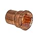 PROCURU 10-Pack 1/2-Inch Copper Female Adapter C x FNPT, Certified Safe for Drinking Water (CWFA0012-10P)