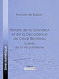 Histoire de la Grandeur et de la Décadence de César Birotteau (French Edition) by Honoré de Balzac, Ligaran