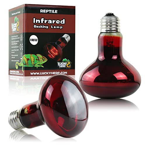 LUCKY HERP ヒートグロー 赤外線照射スポットランプ 100W 2個 保温球 バスキングライト 爬虫類 赤外線ライト 赤い光•UVA 爬虫類ライト 昼夜兼用集光型スポットランプ トカゲ類・亀等 爬虫類 両生類用