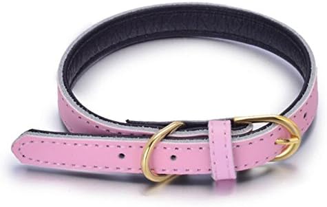 Neonr Genuine Leather Embossed Stickers on The Bottom and Light Strip Leather Dog Collar Chain with Alloy Gold Buckle.(Pink)