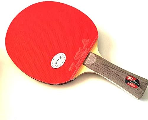 Palio T009 Table Tennis Bat with case. CJ8000 Long Lasting rubbers,