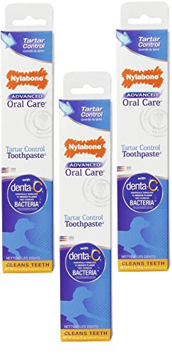 nylabone senior toothpaste