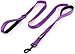 Primal Pet Gear Dog Leash 6ft Long,Traffic Padded Two Handle,Heavy Duty,Reflective Double Handles Lead for Control Safety Training,Leashes for Large Dogs or Medium Dogs,Dual Handles Leads(Purple)