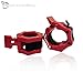 Muscle Blox Pair of 2