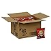 Ritz Bits Peanut Butter Sandwiches, 1.5-Ounce Single-Serve Packages (Pack of 60)