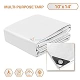 TANG Sunshades Depot 10 x 14 Feet Heavy Duty 10 Mil White Cover Tent Shelter Camping Tarpaulin Multi Purpose Waterproof Poly Tarp Cover Reinforced Rip-Stop with Grommets