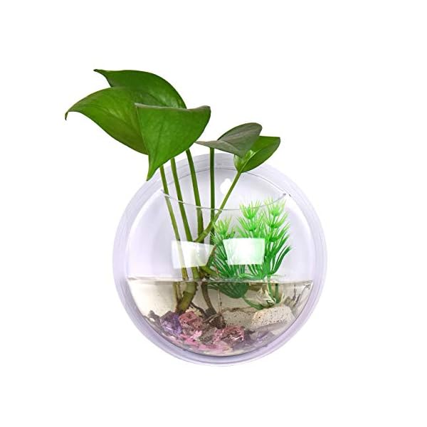 Tongxu Jarron Dispositivo Hidroponico Colgado En La Pared Montado