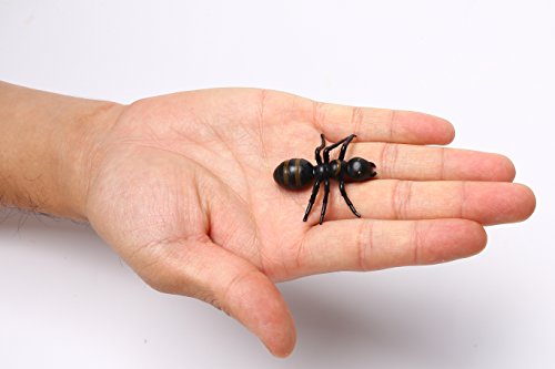 LovesTown Big Fake Ants Simulated Insect Prank Toy Ants Toy Figure 1.6\