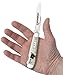 Case Turkey Embellished Trapper Pocket Knife