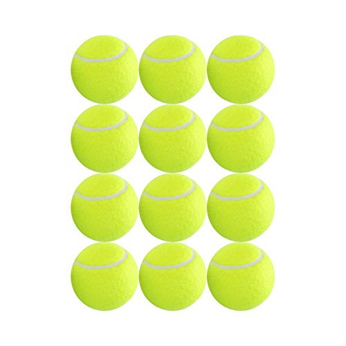 12 Pack Training Tennis Balls-IANONI Great Tennis Balls For Lessons,Practice,Playing With Pets-Closeable Mesh Carrying Bag For Easy Transport And Storage