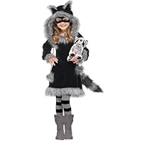 In Fashion Kids Sweet Raccoon Costume: Toddler or Girls Halloween Costume (4-6 Years)