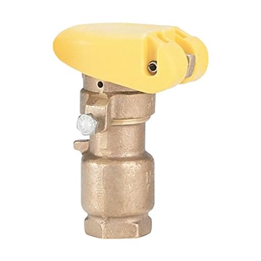 Rain Bird Quick Coupling Valve