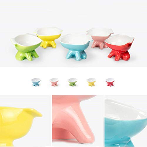 Vivipet Premium Elevated Dog Feeder Single Raised Dog Bowl
