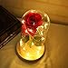 Adoeve Pink Rose Enchanted Red Silk Rose and LED Light in Glass Dome on a Wooden Base Artificial Flowers