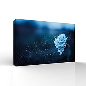 Canvas Wall Art Beautiful Flowers Pictures Home Wall Decorations for Bedroom Living Room Paintings Canvas Prints Framed - 12x18 inches