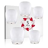 Chinese Lanterns & Sky Lanterns (5-Pack) + Marker Pen ECO Friendly 100% Biodegradable - Beautiful Lantern for White for Weddings, Birthdays, Memorials and Much More by Smeiker