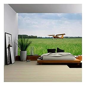 Little Yellow Airplane on Green Grass Field - Removable Wall Mural | Self-Adhesive Large Wallpaper - 66x96 inches