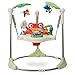 Fisher-Price Rainforest Jumperoo