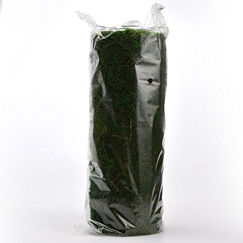 3 Byher+Dried+Runner+Garden+Decoration