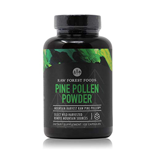 RAW Pine Pollen Capsules - Wild-Harvested, Single-Source, Cracked Cell Wall - 120 Vegan Capsules - RAW Forest Foods RAW Pine Pollen Capsules - Wild-Harvested, Single-Source, Cracked Cell Wall - 120 Vegan Capsules - RAW Forest Foods