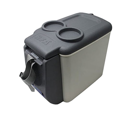 Car Refrigerator Jadeking@ 6L Refrigeration, Cold And Warm Car Dual-use Carrying Fans 220V AC / 12V DC