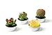Decorative Scented Smokeless Cactus Tealight Candles, Cute Mini Succulent Plants Candles (Perfect for Home Decor/Birthday Gift/Wedding Props/House-Warming Party), Green, 12 pcs