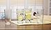 Circleware Windowpane Glassware Products, Clear