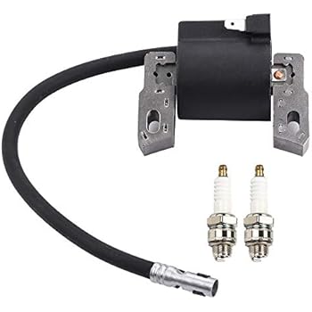 Bobina Accensione Per Motore BRIGGS &amp; STRATTON 4 5HP