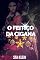 Livro O Feitiço da Cigana