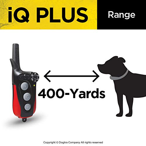 Dogtra IQ Plus+ 2Dogs Remote Training System 400 Yard Range