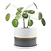 Oak & Boo Large Planter Pot with Drainage Saucer- 8″ – Perfectly Fits Mid-Century Modern Plant Stand for All Indoor Plants (8 Inch, Gold and Grey Detailing)thumb 1