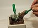 Ginsco 7pcs Succulent Transplanting Miniature Fairy Garden Planting Gardening Hand Tools Setthumb 2