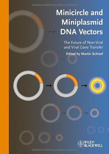 Minicircle and Miniplasmid DNA Vectors  The Future of Non-Viral and Viral Gene Transfer