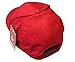 FDNY Baseball Hat Police Badge Fire Department of New York City Red Gold On