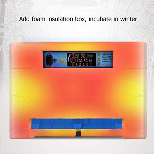 CHICTI Brutmaschine Vollautomatisch Eier-Inkubator 256 Eier Digital Mit Beleuchtung Temperaturregulierung Und… – Bild 8