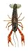 Savage Gear 3D Craw Iodine Scent Floating Fishing Lure, 3-Inch/1/5-Ounce, Spring Craw