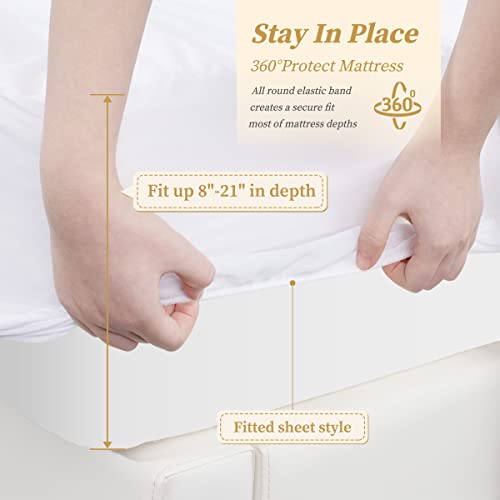 Safe and Sound Queen 100 Waterproof Premium Mattress Protector, Ultra