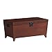 Southern Enterprises Pyramid Storage Trunk Cocktail Table, Espresso Finish