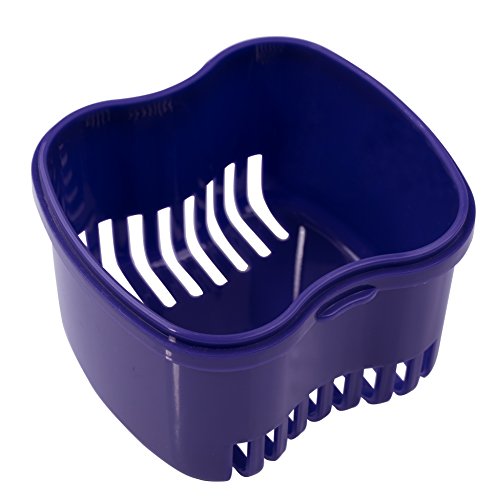 image for Mint Rose Denture Case,Denture Brush Retainer Case,Denture Cups Bath,D
